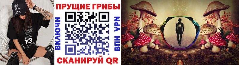 Галлюциногенные грибы Magic Shrooms  где купить наркоту  Воркута 